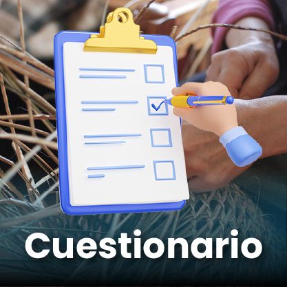 Cuestionario Cultura